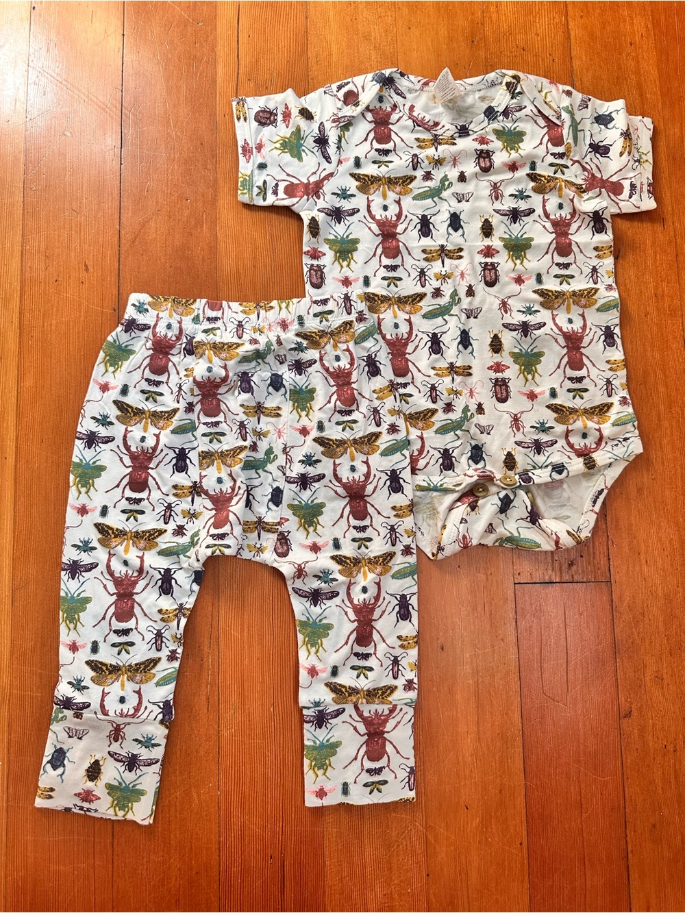 Baby Two-Piece Bug Print Bodysuit & Pants Set - Cream Base with Multicolor Bugs